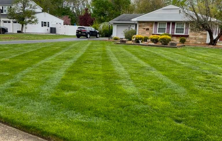 Lawn care results