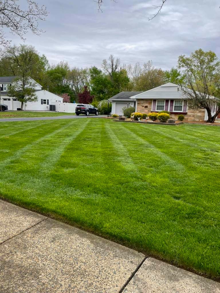 Lawn care results