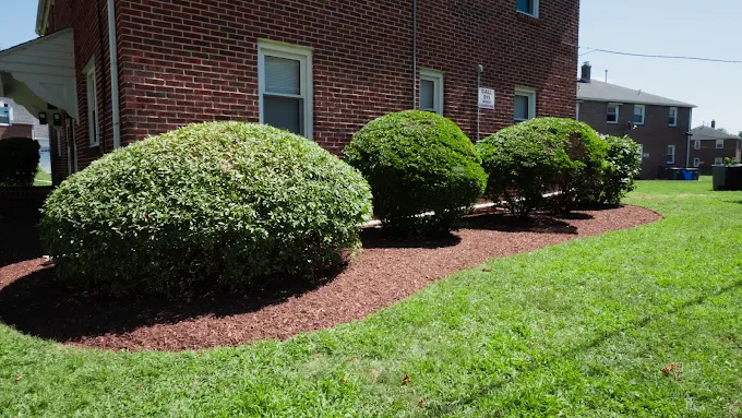 Lawn care results