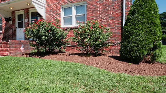 Lawn care results